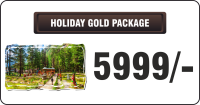 HOLIDAY GOLD PACKAGE